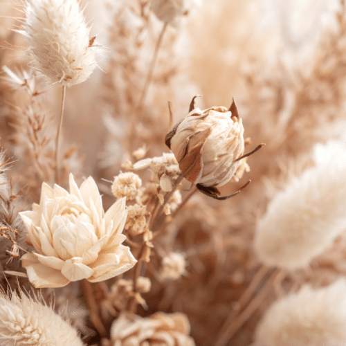 Atelier art floral fevrier