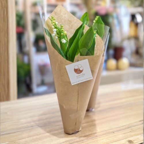 Pot de muguet