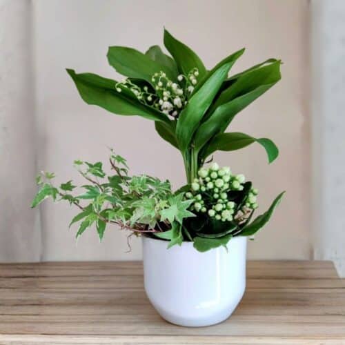 elegance printaniere